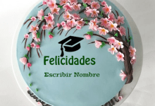 cake B4 220x150 - Agregar Nombre En El Pastel De Felicitaciones