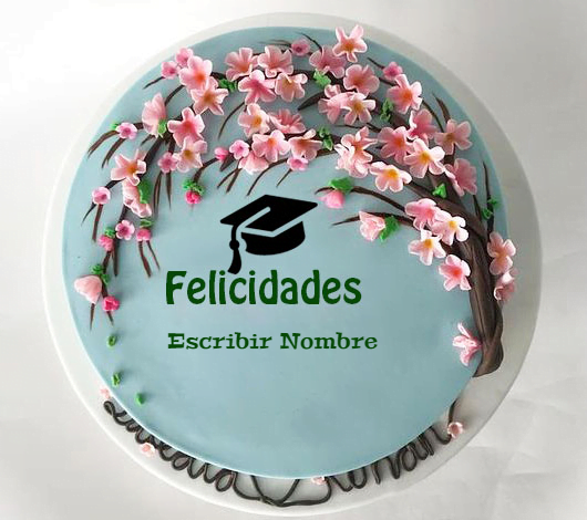 cake B4 - Agregar Nombre En El Pastel De Felicitaciones