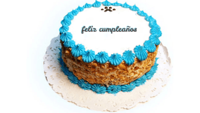 cake B14 390x220 - agregar Texto en pastel de cumpleaños azul