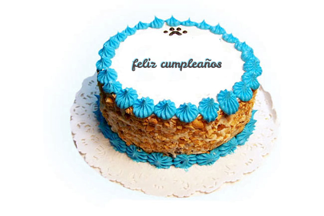 cake B14 - agregar Texto en pastel de cumpleaños azul