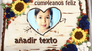 torta texto 21 390x220 - Tortas De Cumpleaños De Girasol Con Nombre Y Marco De Fotos