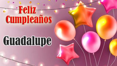 Feliz Cumpleanos Guadalupe 1 390x220 - Feliz Cumpleaños Guadalupe