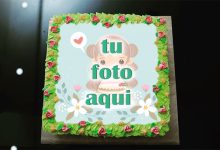 pastel de cumpleanos con foto 104 220x150 - Crear Pastel De Cumpleaños De Jardín De Flores Con Foto