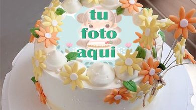 pastel de cumpleanos con foto 105 390x220 - Comparta Plantilla Encantadora De Pastel De Cumpleaños De Flores Coloridas Con Foto